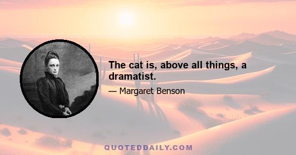 The cat is, above all things, a dramatist.