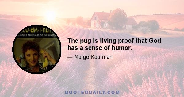 The pug is living proof that God has a sense of humor.