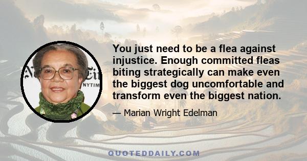 You just need to be a flea against injustice. Enough committed fleas biting strategically can make even the biggest dog uncomfortable and transform even the biggest nation.