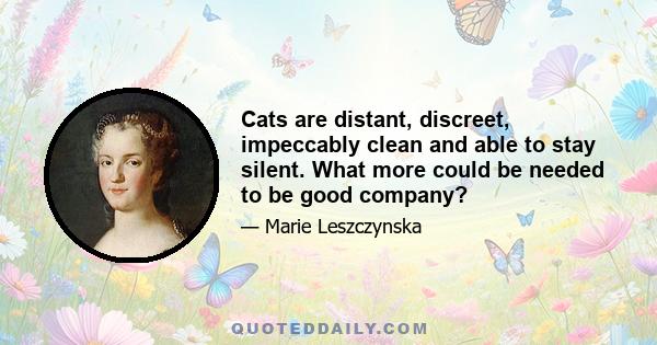 Cats are distant, discreet, impeccably clean and able to stay silent. What more could be needed to be good company?