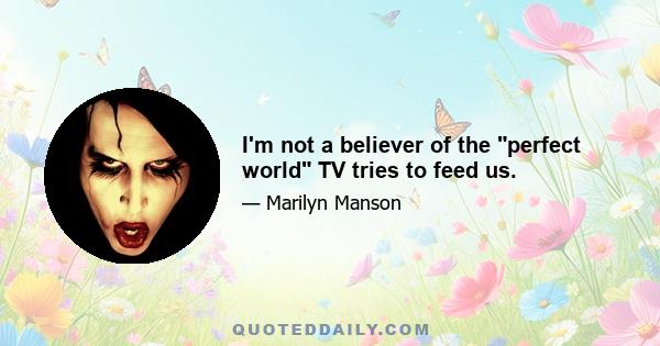 I'm not a believer of the perfect world TV tries to feed us.