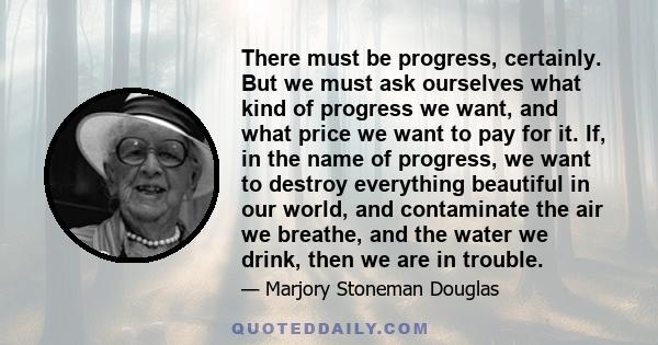 There must be progress, certainly. But we must ask ourselves what kind of progress we want, and what price we want to pay for it. If, in the name of progress, we want to destroy everything beautiful in our world, and