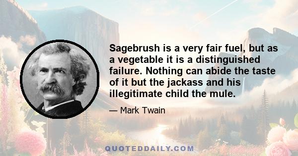 Sagebrush is a very fair fuel, but as a vegetable it is a distinguished failure. Nothing can abide the taste of it but the jackass and his illegitimate child the mule.