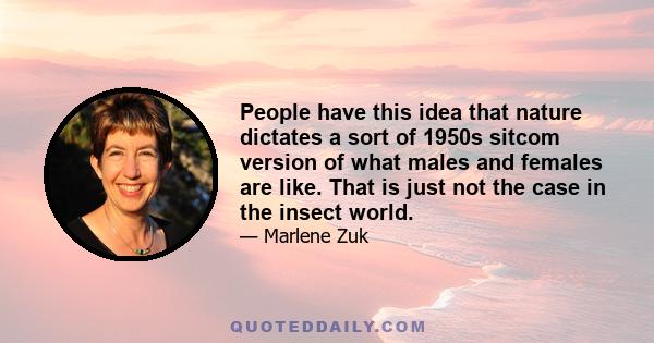 People have this idea that nature dictates a sort of 1950s sitcom version of what males and females are like. That is just not the case in the insect world.