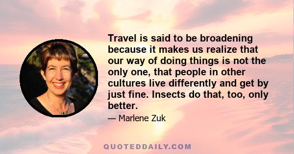 Travel is said to be broadening because it makes us realize that our way of doing things is not the only one, that people in other cultures live differently and get by just fine. Insects do that, too, only better.