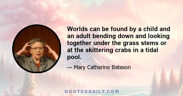 Worlds can be found by a child and an adult bending down and looking together under the grass stems or at the skittering crabs in a tidal pool.