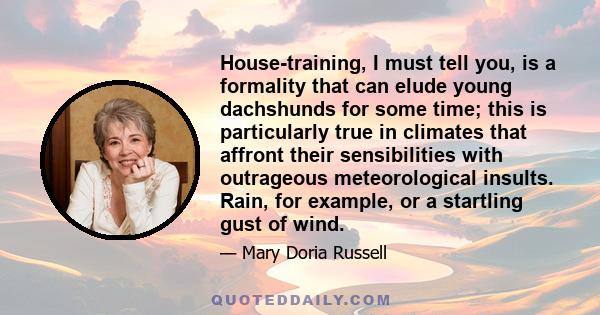 House-training, I must tell you, is a formality that can elude young dachshunds for some time; this is particularly true in climates that affront their sensibilities with outrageous meteorological insults. Rain, for