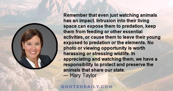 Remember that even just watching animals has an impact. Intrusion into their living space can expose them to predation, keep them from feeding or other essential activities, or cause them to leave their young exposed to 