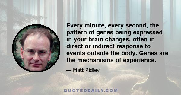 Every minute, every second, the pattern of genes being expressed in your brain changes, often in direct or indirect response to events outside the body. Genes are the mechanisms of experience.