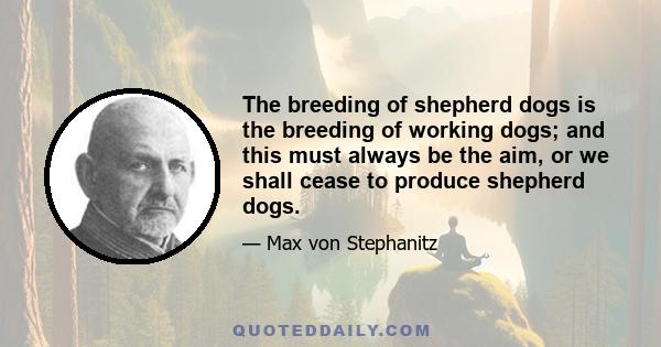 The breeding of shepherd dogs is the breeding of working dogs; and this must always be the aim, or we shall cease to produce shepherd dogs.