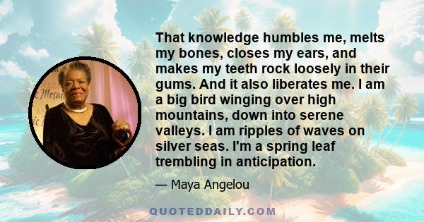 That knowledge humbles me, melts my bones, closes my ears, and makes my teeth rock loosely in their gums. And it also liberates me. I am a big bird winging over high mountains, down into serene valleys. I am ripples of