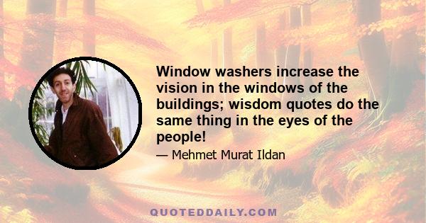 Window washers increase the vision in the windows of the buildings; wisdom quotes do the same thing in the eyes of the people!