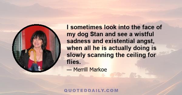 I sometimes look into the face of my dog Stan and see a wistful sadness and existential angst, when all he is actually doing is slowly scanning the ceiling for flies.