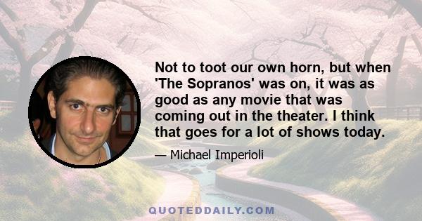 Not to toot our own horn, but when 'The Sopranos' was on, it was as good as any movie that was coming out in the theater. I think that goes for a lot of shows today.