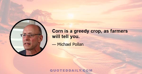 Corn is a greedy crop, as farmers will tell you.