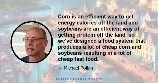 Corn is an efficient way to get energy calories off the land and soybeans are an efficient way of getting protein off the land, so we've designed a food system that produces a lot of cheap corn and soybeans resulting in 