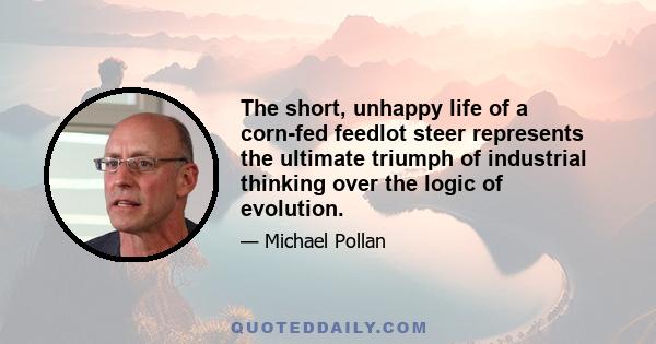 The short, unhappy life of a corn-fed feedlot steer represents the ultimate triumph of industrial thinking over the logic of evolution.