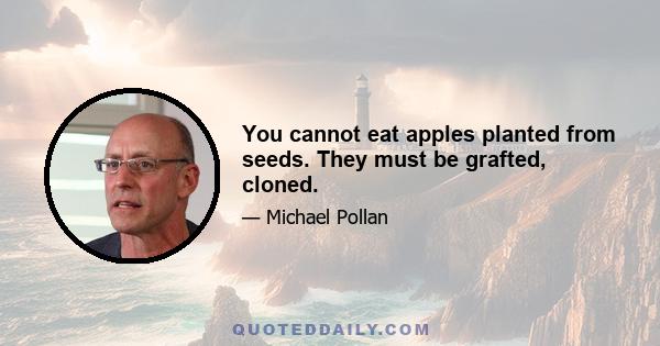 You cannot eat apples planted from seeds. They must be grafted, cloned.