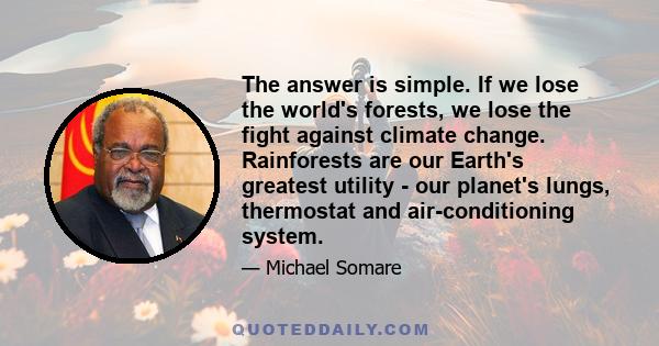 The answer is simple. If we lose the world's forests, we lose the fight against climate change. Rainforests are our Earth's greatest utility - our planet's lungs, thermostat and air-conditioning system.