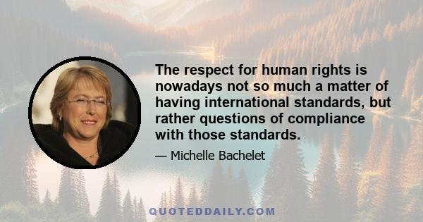 The respect for human rights is nowadays not so much a matter of having international standards, but rather questions of compliance with those standards.