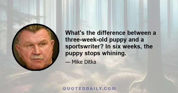 What's the difference between a three-week-old puppy and a sportswriter? In six weeks, the puppy stops whining.