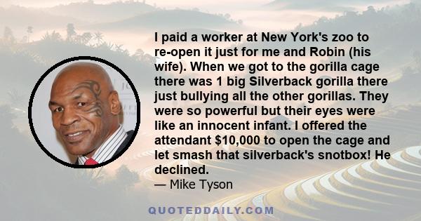 I paid a worker at New York's zoo to re-open it just for me and Robin (his wife). When we got to the gorilla cage there was 1 big Silverback gorilla there just bullying all the other gorillas. They were so powerful but