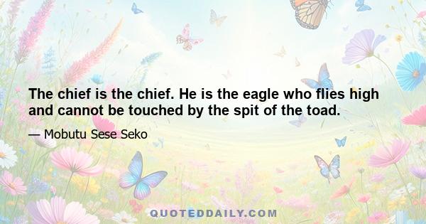 The chief is the chief. He is the eagle who flies high and cannot be touched by the spit of the toad.