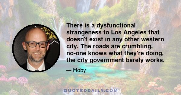 There is a dysfunctional strangeness to Los Angeles that doesn't exist in any other western city. The roads are crumbling, no-one knows what they're doing, the city government barely works.