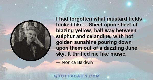 I had forgotten what mustard fields looked like... Sheet upon sheet of blazing yellow, half way between sulphur and celandine, with hot golden sunshine pouring down upon them out of a dazzling June sky. It thrilled me