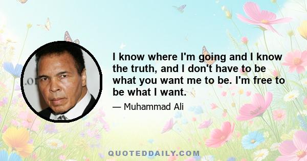 I know where I'm going and I know the truth, and I don't have to be what you want me to be. I'm free to be what I want.