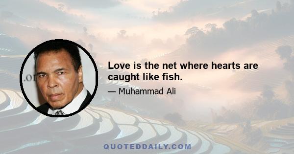 Love is the net where hearts are caught like fish.