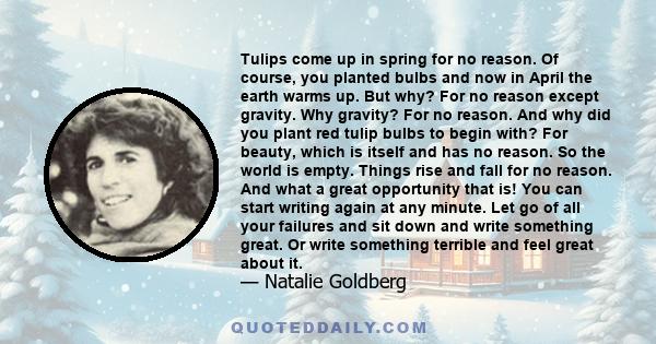 Tulips come up in spring for no reason. Of course, you planted bulbs and now in April the earth warms up. But why? For no reason except gravity. Why gravity? For no reason. And why did you plant red tulip bulbs to begin 