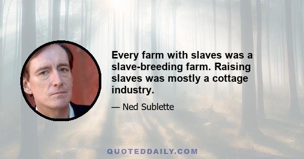 Every farm with slaves was a slave-breeding farm. Raising slaves was mostly a cottage industry.