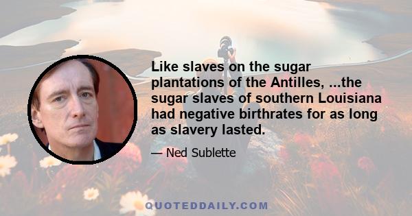 Like slaves on the sugar plantations of the Antilles, ...the sugar slaves of southern Louisiana had negative birthrates for as long as slavery lasted.