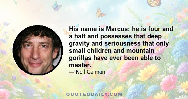 His name is Marcus: he is four and a half and possesses that deep gravity and seriousness that only small children and mountain gorillas have ever been able to master.