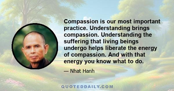 Compassion is our most important practice. Understanding brings compassion. Understanding the suffering that living beings undergo helps liberate the energy of compassion. And with that energy you know what to do.