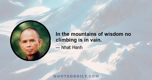 In the mountains of wisdom no climbing is in vain.