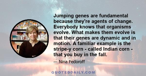 Jumping genes are fundamental because they're agents of change. Everybody knows that organisms evolve. What makes them evolve is that their genes are dynamic and in motion. A familiar example is the stripe-y corn -