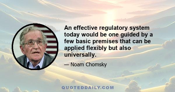 An effective regulatory system today would be one guided by a few basic premises that can be applied flexibly but also universally.