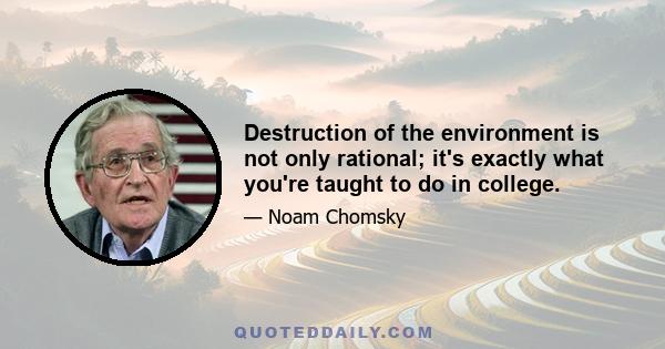 Destruction of the environment is not only rational; it's exactly what you're taught to do in college.