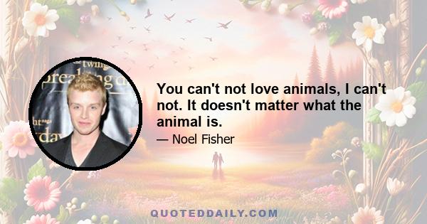 You can't not love animals, I can't not. It doesn't matter what the animal is.