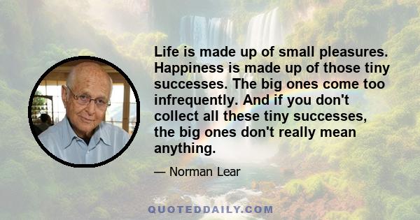 Life is made up of small pleasures. Happiness is made up of those tiny successes. The big ones come too infrequently. And if you don't collect all these tiny successes, the big ones don't really mean anything.