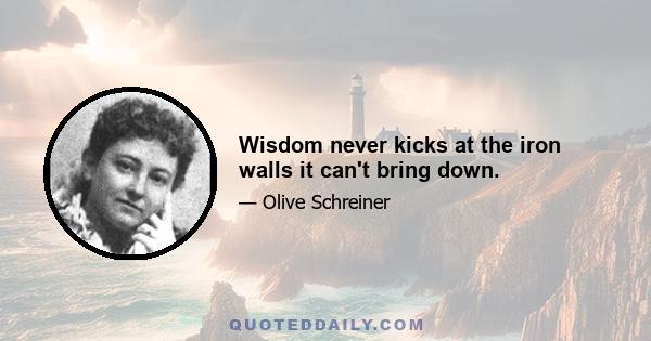 Wisdom never kicks at the iron walls it can't bring down.