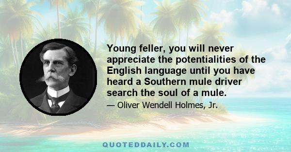 Young feller, you will never appreciate the potentialities of the English language until you have heard a Southern mule driver search the soul of a mule.