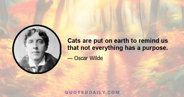 Cats are put on earth to remind us that not everything has a purpose.