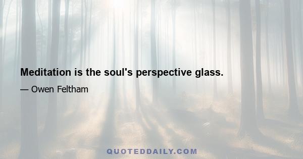 Meditation is the soul's perspective glass.