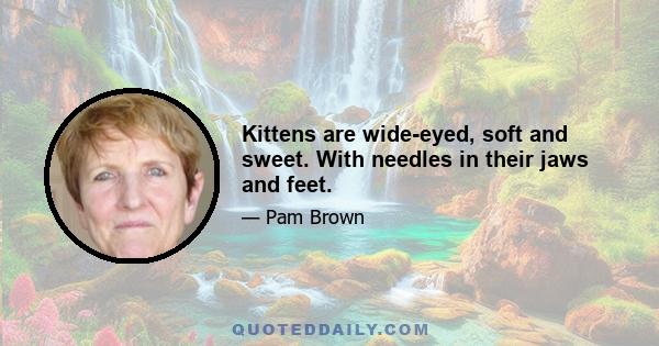 Kittens are wide-eyed, soft and sweet. With needles in their jaws and feet.