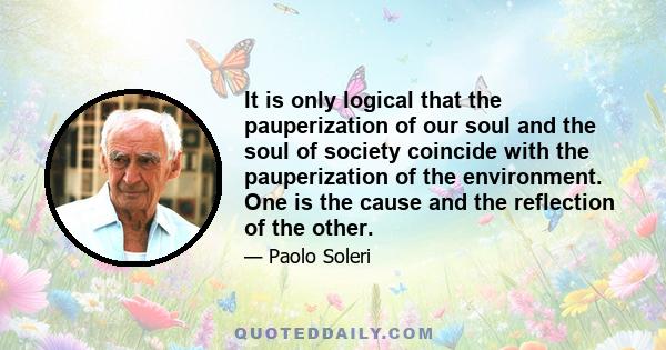 It is only logical that the pauperization of our soul and the soul of society coincide with the pauperization of the environment. One is the cause and the reflection of the other.