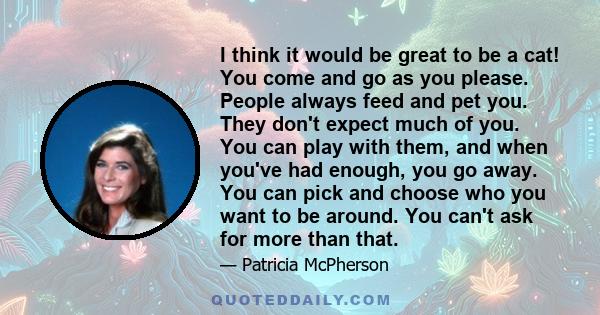 I think it would be great to be a cat! You come and go as you please. People always feed and pet you. They don't expect much of you. You can play with them, and when you've had enough, you go away. You can pick and