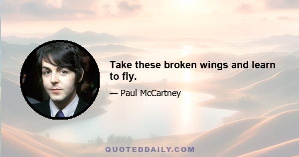 Take these broken wings and learn to fly.